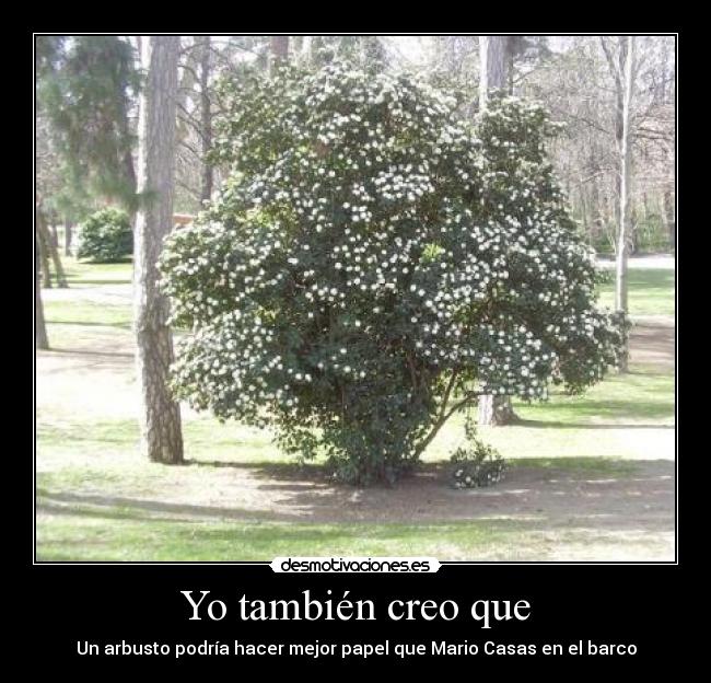 Yo también creo que - Un arbusto podría hacer mejor papel que Mario Casas en el barco