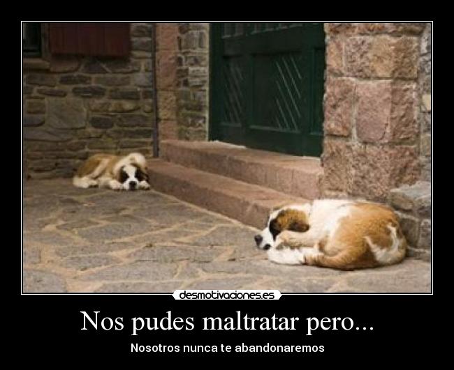 Nos pudes maltratar pero... - Nosotros nunca te abandonaremos