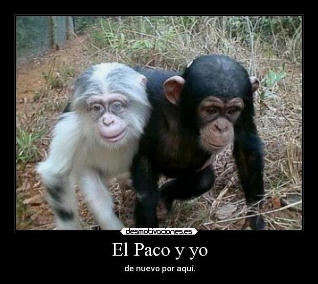 El Paco y yo - 