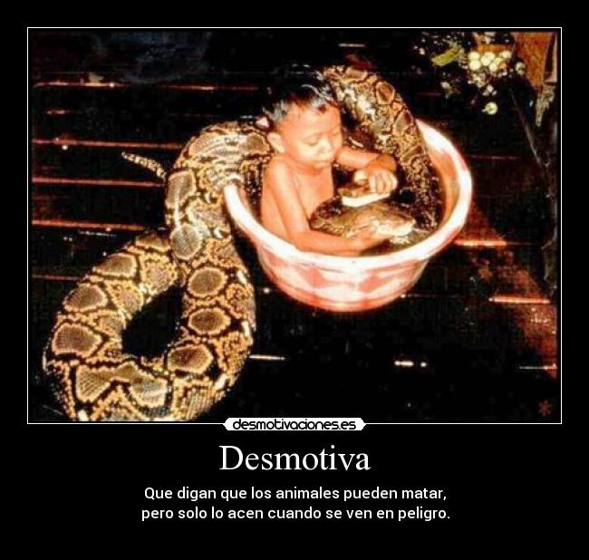 Desmotiva - Que digan que los animales pueden matar,
pero solo lo acen cuando se ven en peligro.
