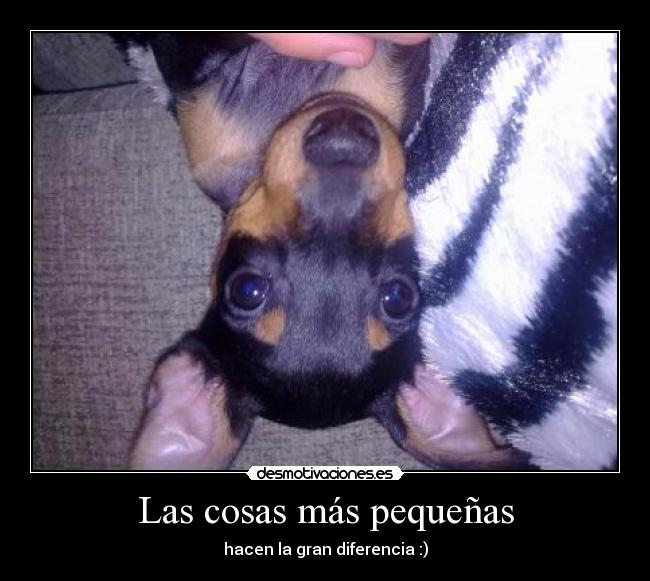 Las cosas más pequeñas -