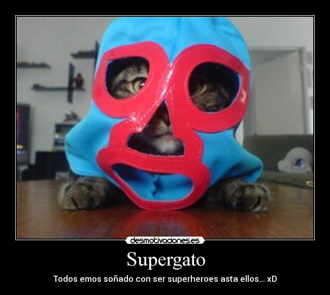 Supergato - Todos emos soñado con ser superheroes asta ellos... xD