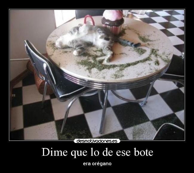 Dime que lo de ese bote - era orégano