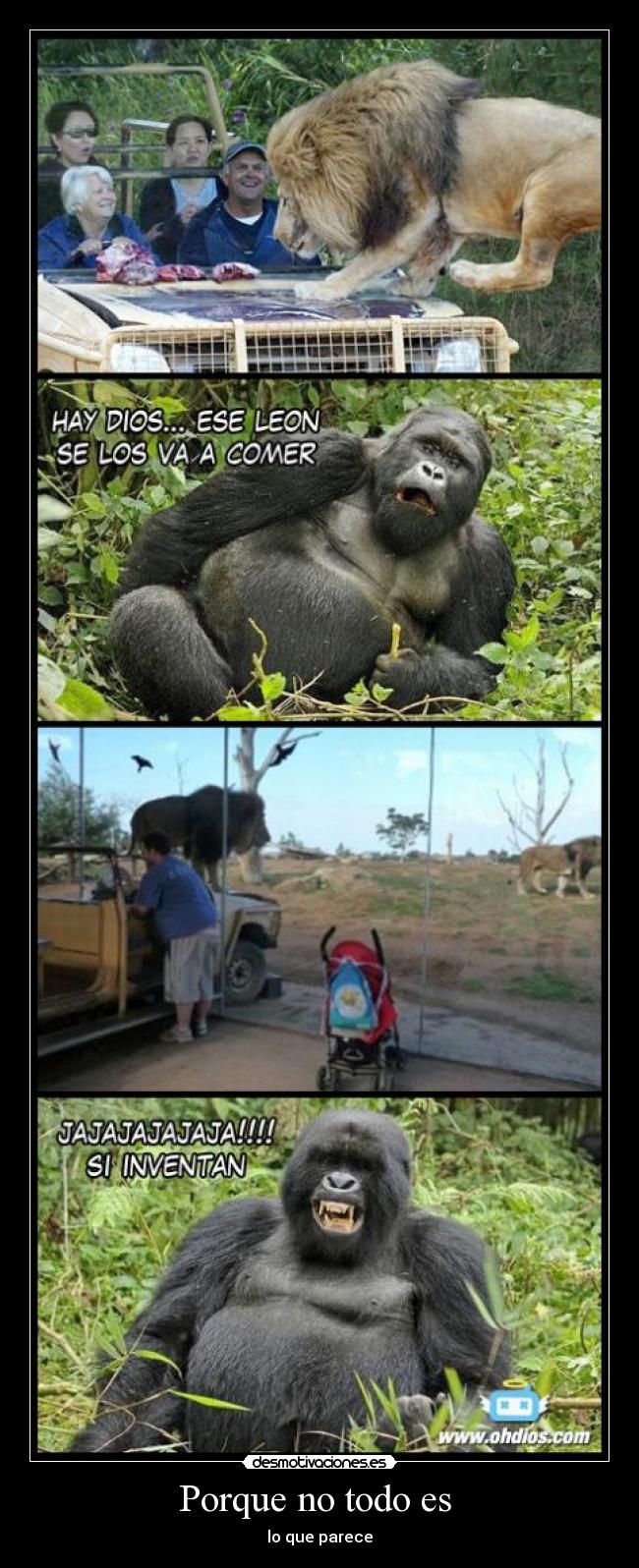 Porque no todo es  - lo que parece