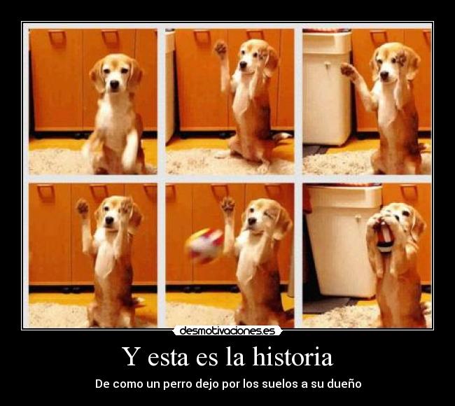 Y esta es la historia - De como un perro dejo por los suelos a su dueño