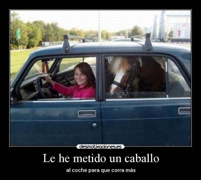 Le he metido un caballo -