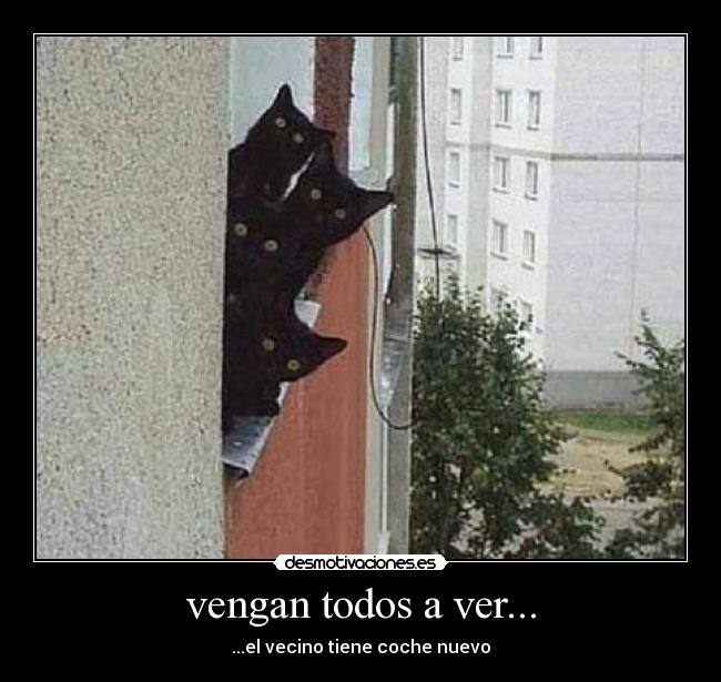 vengan todos a ver... -