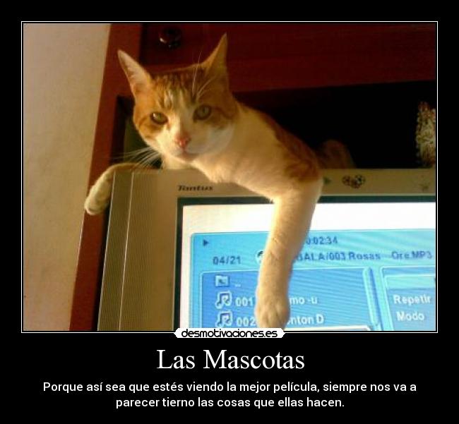 Las Mascotas -