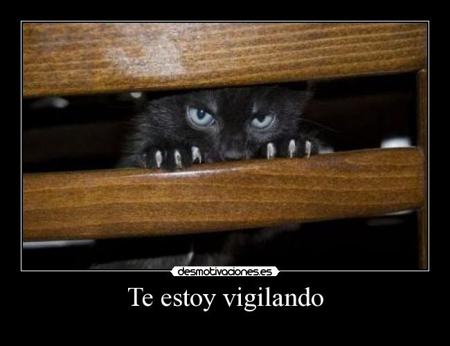Te estoy vigilando -
