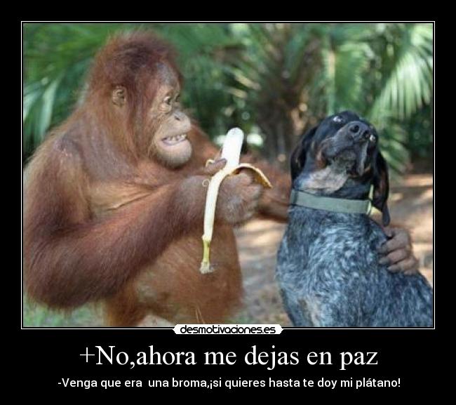 +No,ahora me dejas en paz - -Venga que era  una broma,¡si quieres hasta te doy mi plátano!