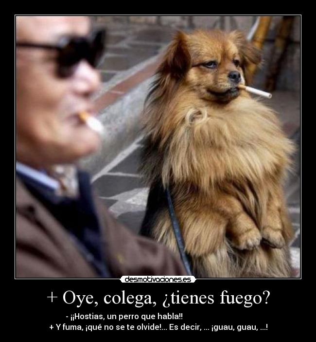 + Oye, colega, ¿tienes fuego? -