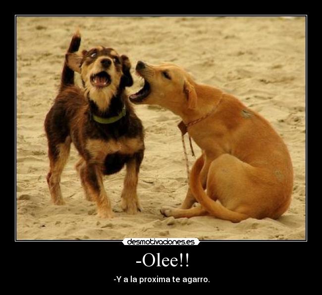 -Olee!! - -Y a la proxima te agarro.