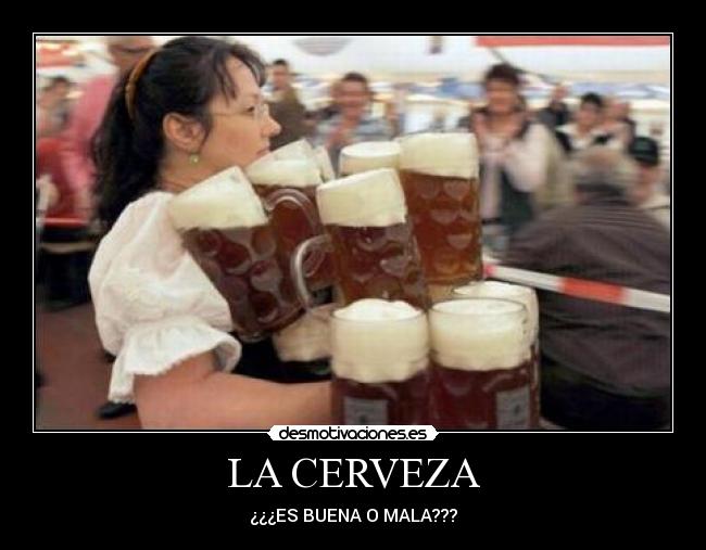 LA CERVEZA - ¿¿¿ES BUENA O MALA???