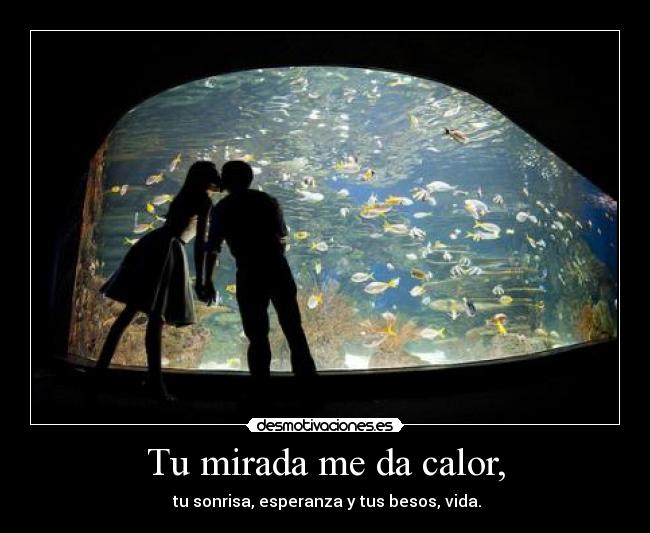 Tu mirada me da calor, -  tu sonrisa, esperanza y tus besos, vida.