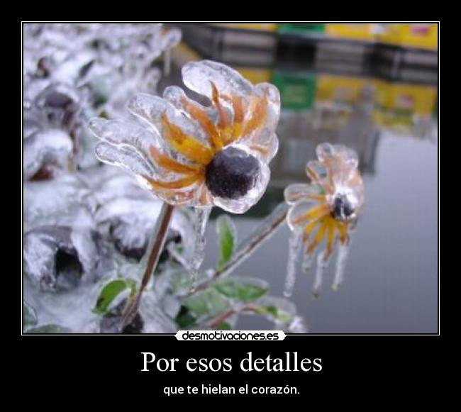 carteles error error demasiado puke flam clanvirus desmotivaciones