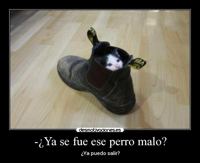 -¿Ya se fue ese perro malo? -