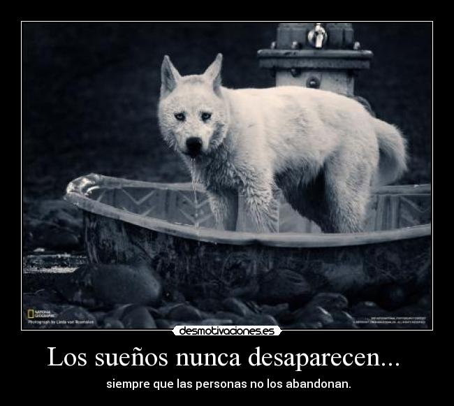 Los sueños nunca desaparecen... -