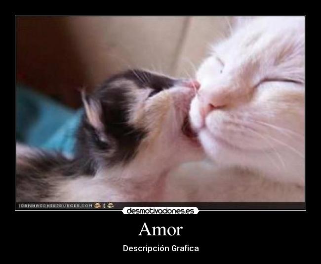 carteles amor desmotivaciones