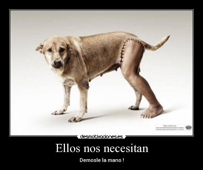 Ellos nos necesitan - Demosle la mano !