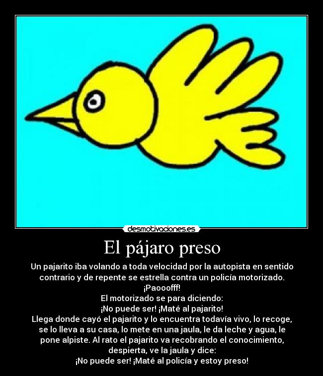 El pájaro preso - 