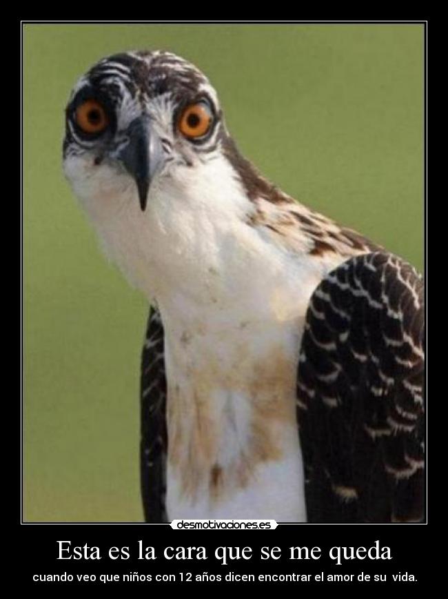 Esta es la cara que se me queda - cuando veo que niños con 12 años dicen encontrar el amor de su vida.