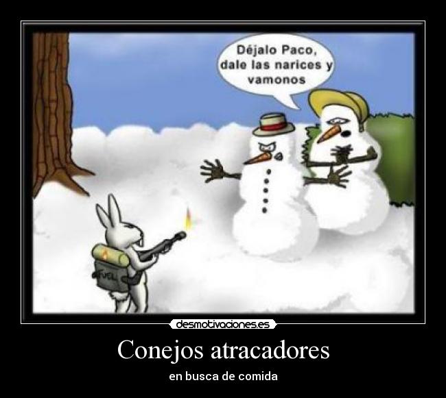 Conejos atracadores - en busca de comida