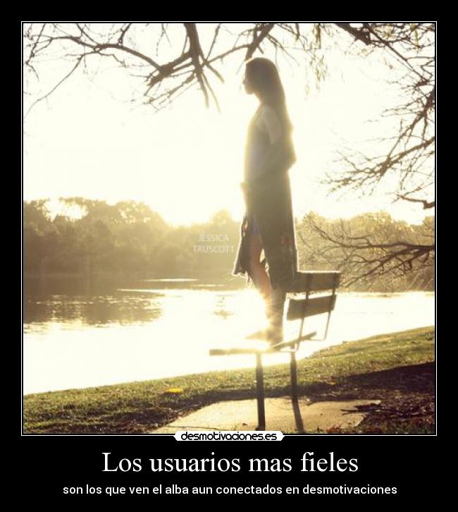 Los usuarios mas fieles - 