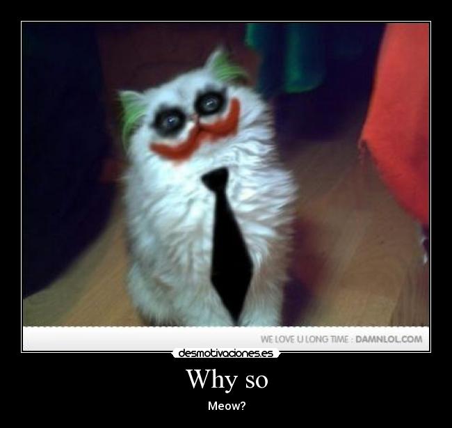 Why so - 