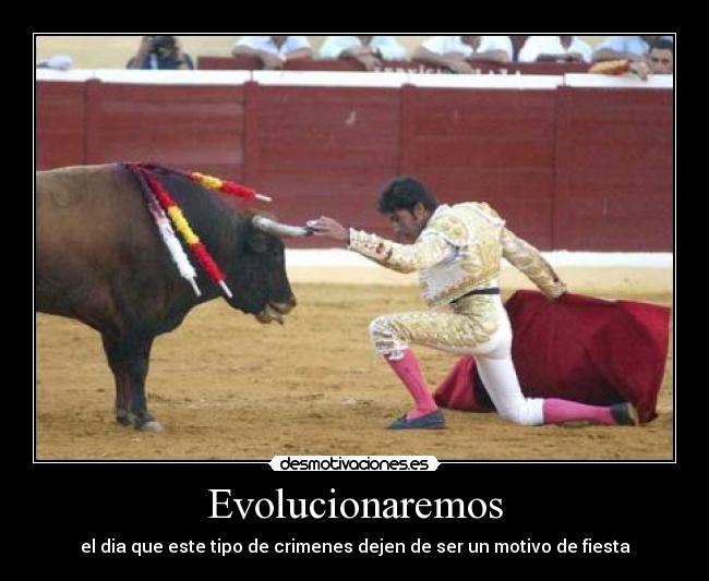 Evolucionaremos - 