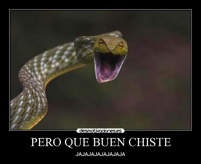 PERO QUE BUEN CHISTE - 