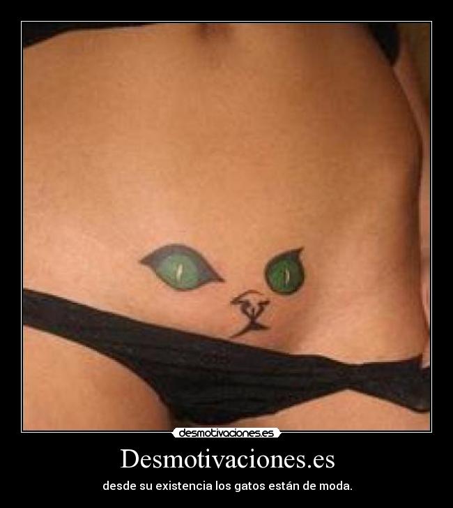 Desmotivaciones.es - desde su existencia los gatos están de moda.