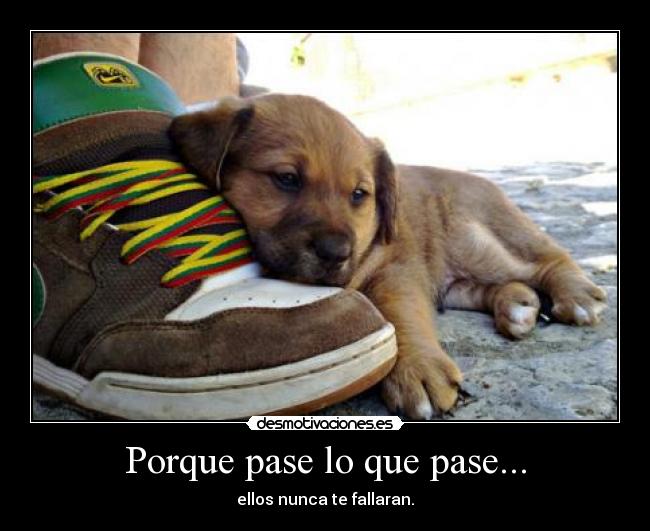 Porque pase lo que pase... - ellos nunca te fallaran.