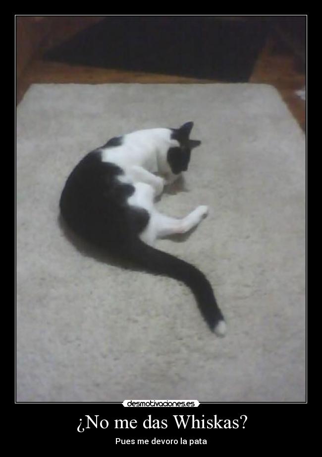 ¿No me das Whiskas? - Pues me devoro la pata