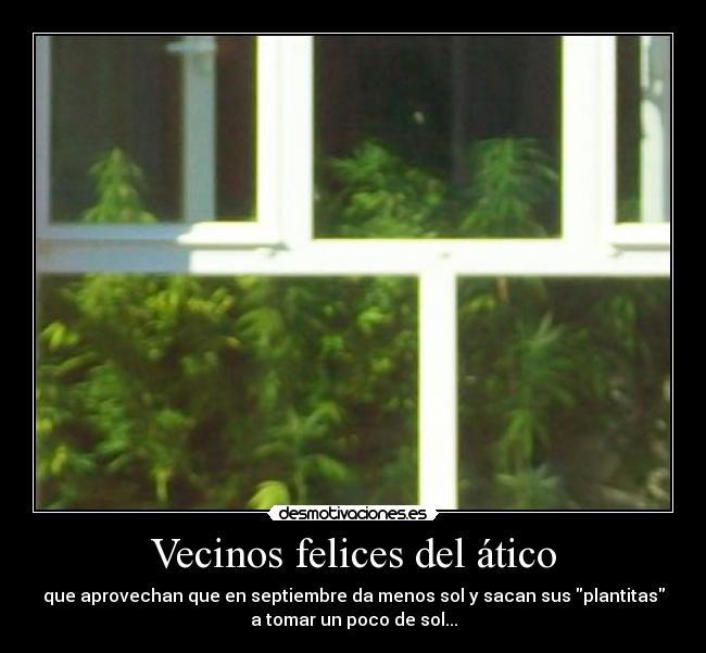Vecinos felices del ático - que aprovechan que en septiembre da menos sol y sacan sus plantitas
a tomar un poco de sol...
