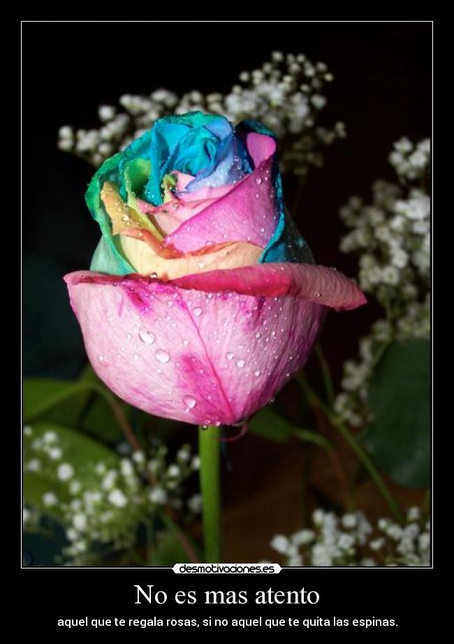 No es mas atento -