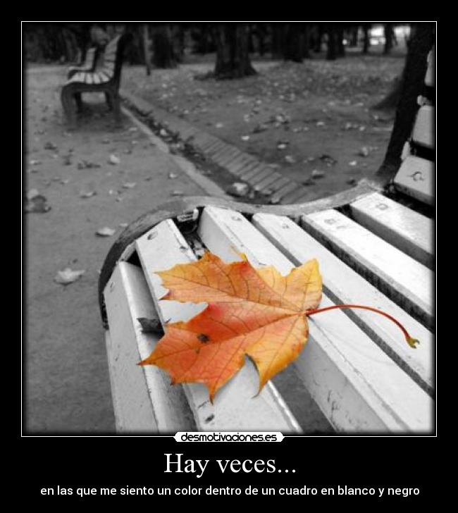 Hay veces... - 