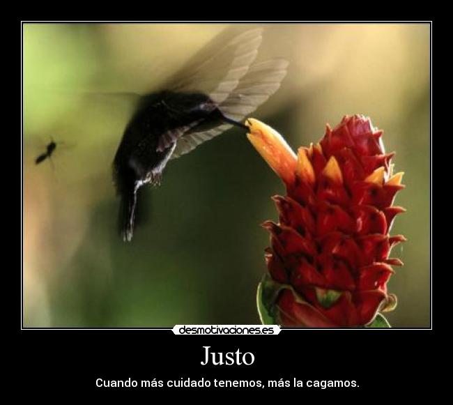 Justo - Cuando más cuidado tenemos, más la cagamos.