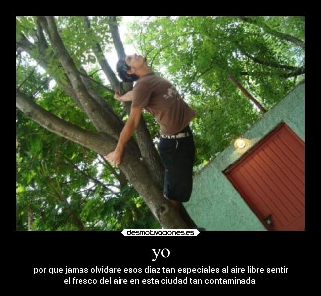 carteles  desmotivaciones