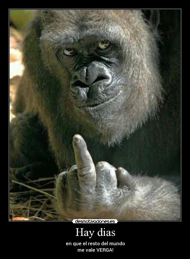 Hay dias - en que el resto del mundo
me vale VERGA!