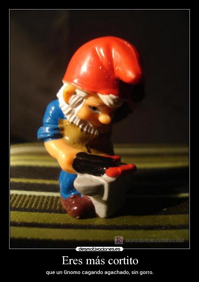 Eres más cortito - que un Gnomo cagando agachado, sin gorro.