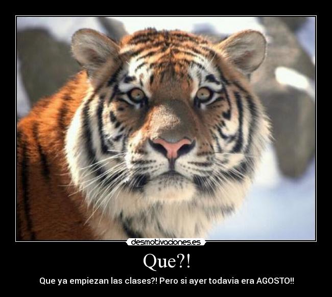 Que?! - Que ya empiezan las clases?! Pero si ayer todavia era AGOSTO!!