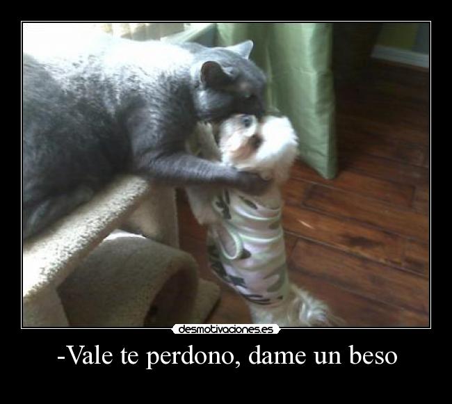 -Vale te perdono, dame un beso -