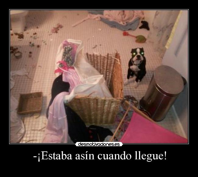 -¡Estaba asín cuando llegue! - 