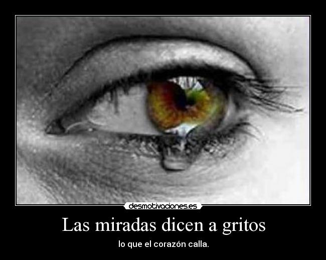 Las miradas dicen a gritos - 