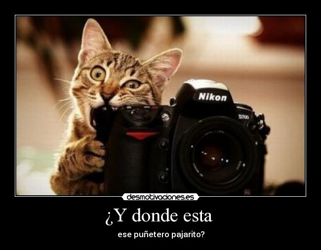 carteles wwwdesmotivacioneses desmotivaciones