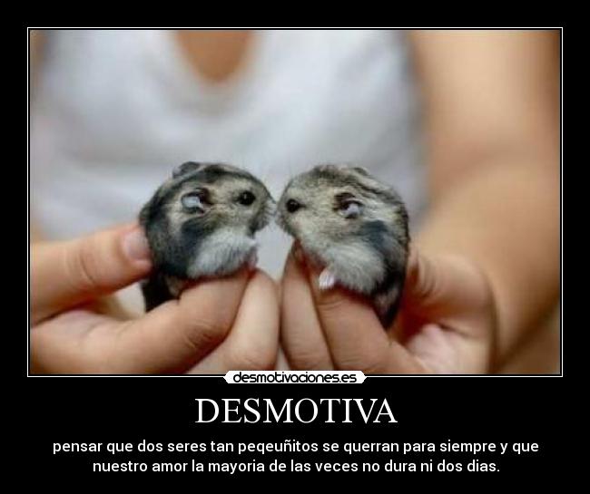 DESMOTIVA - 