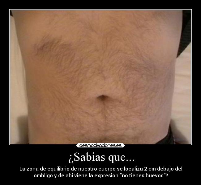 ¿Sabias que... - 