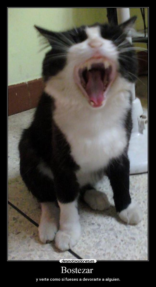 Bostezar - y verte como si fueses a devorarte a alguien.