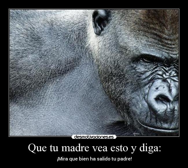 Que tu madre vea esto y diga: - ¡Mira que bien ha salido tu padre!