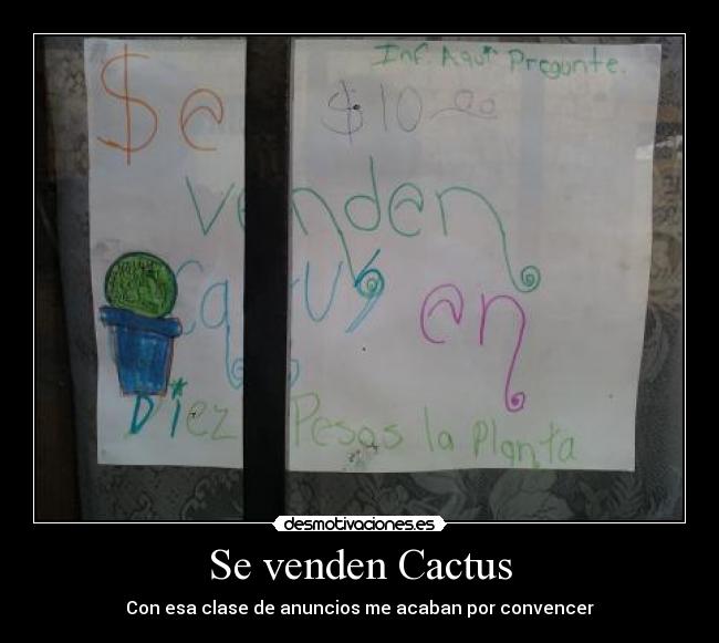 Se venden Cactus - Con esa clase de anuncios me acaban por convencer